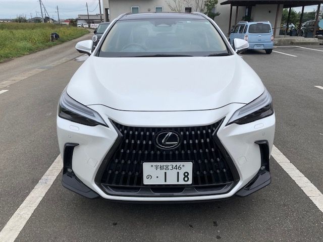 TOYOTA LEXUS NX350h AWD 2022