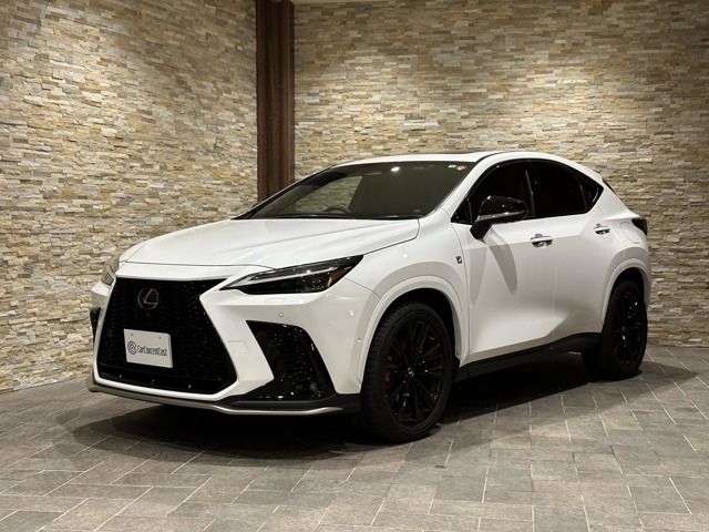 TOYOTA LEXUS NX300h 2022