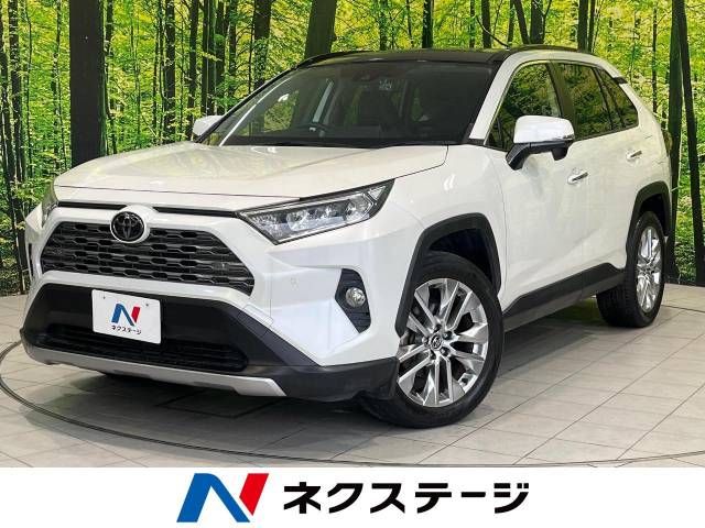 TOYOTA RAV4 4WD 2019