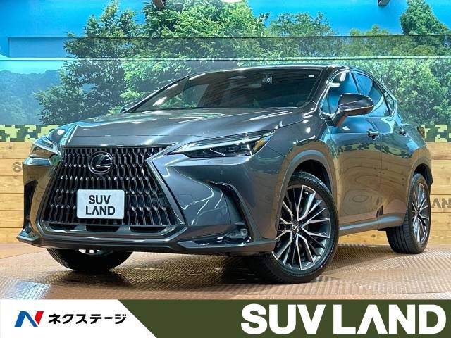 TOYOTA LEXUS NX350h 2023