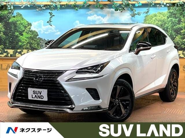 TOYOTA LEXUS NX300 2020