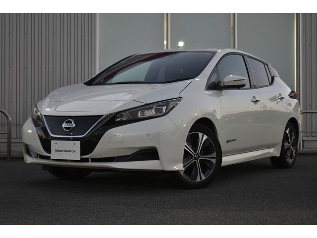 NISSAN LEAF 2020