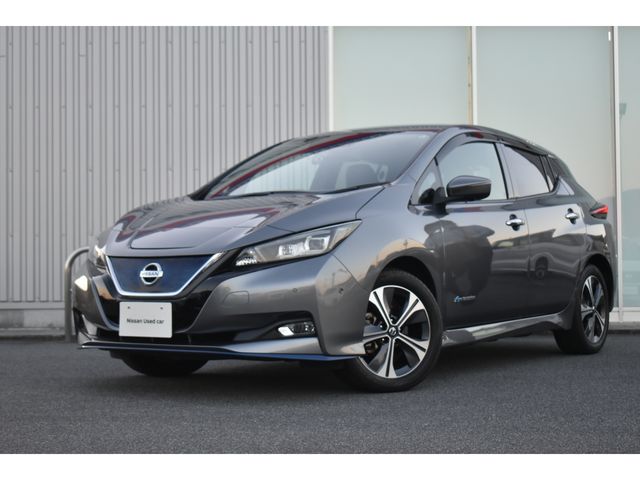 NISSAN LEAF 2019