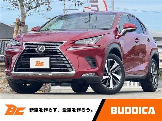 TOYOTA LEXUS NX300 2018