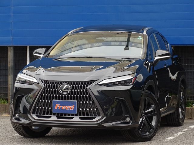 TOYOTA LEXUS NX250 2023