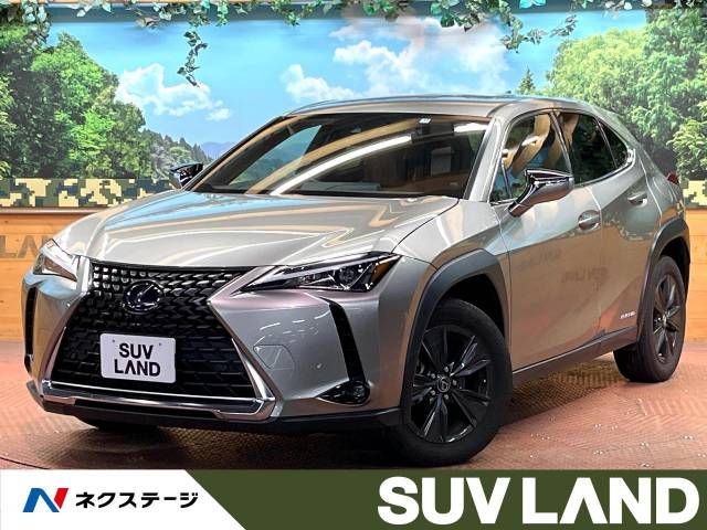 TOYOTA LEXUS UX250h 2021