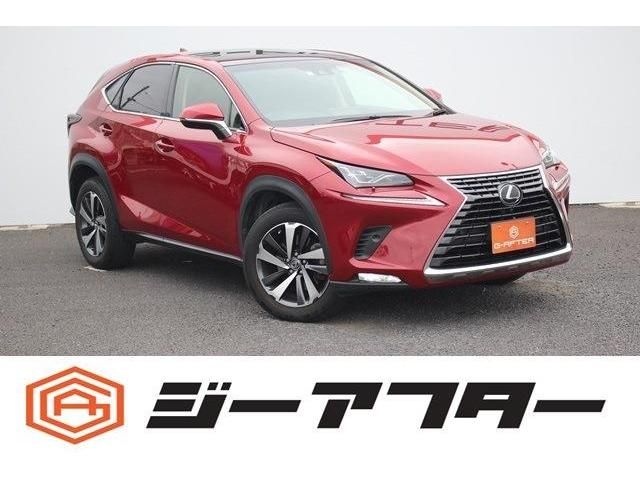 TOYOTA LEXUS NX300 2018