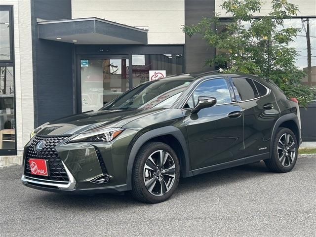 TOYOTA LEXUS UX250h 2019