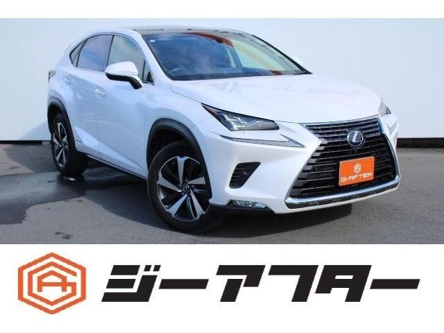 TOYOTA LEXUS NX300h 2018