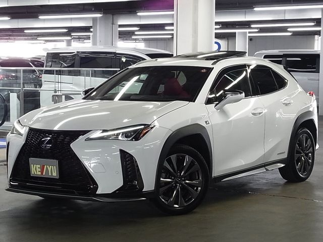 TOYOTA LEXUS UX250h AWD 2021