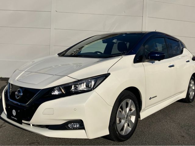 NISSAN LEAF 2019