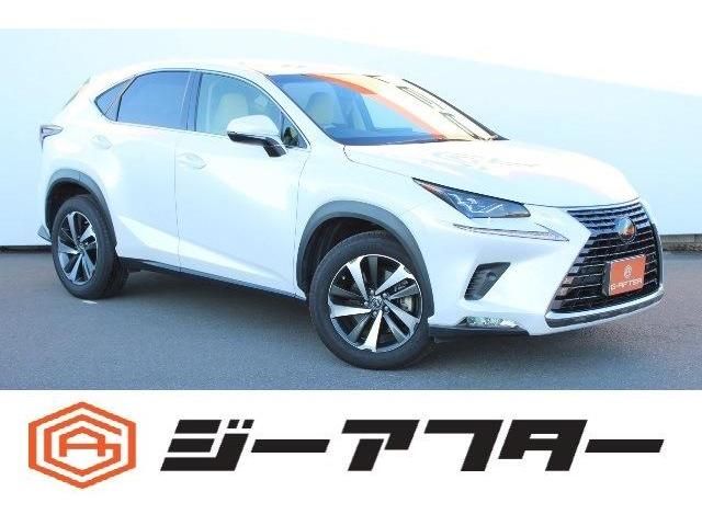 TOYOTA LEXUS NX300 2018