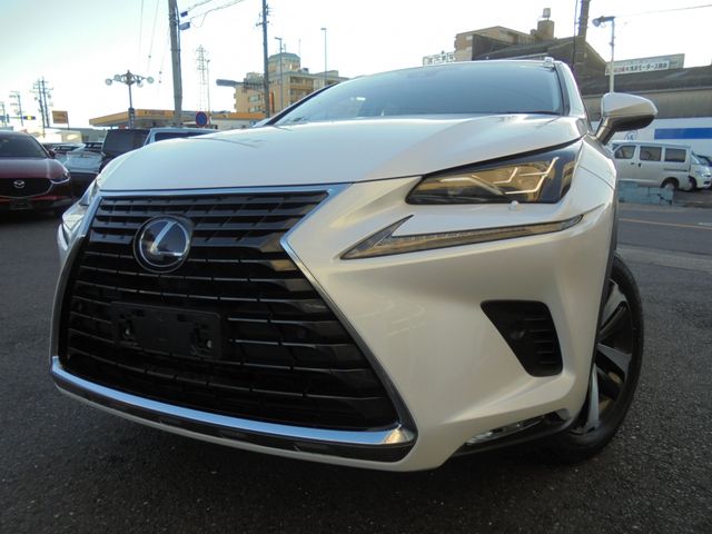 TOYOTA LEXUS NX300h 2020