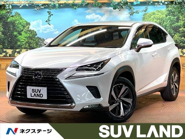 TOYOTA LEXUS NX300h 2018