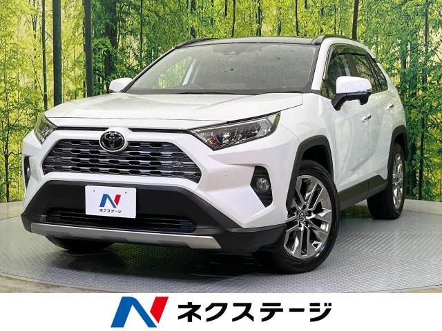 TOYOTA RAV4 4WD 2019