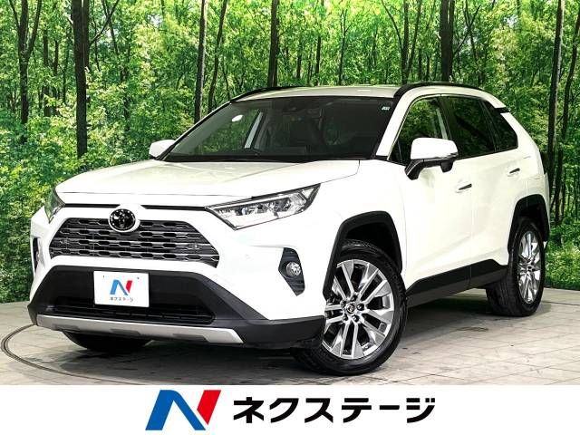 TOYOTA RAV4 4WD 2019