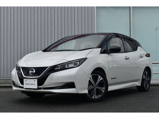 NISSAN LEAF 2020