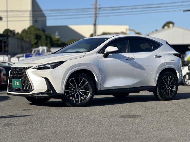 TOYOTA LEXUS NX350h 2024