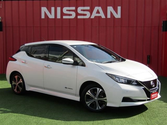 NISSAN LEAF 2018