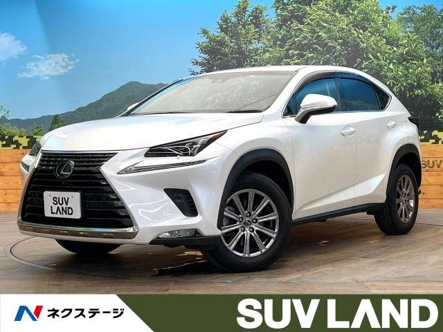 TOYOTA LEXUS NX300 2019