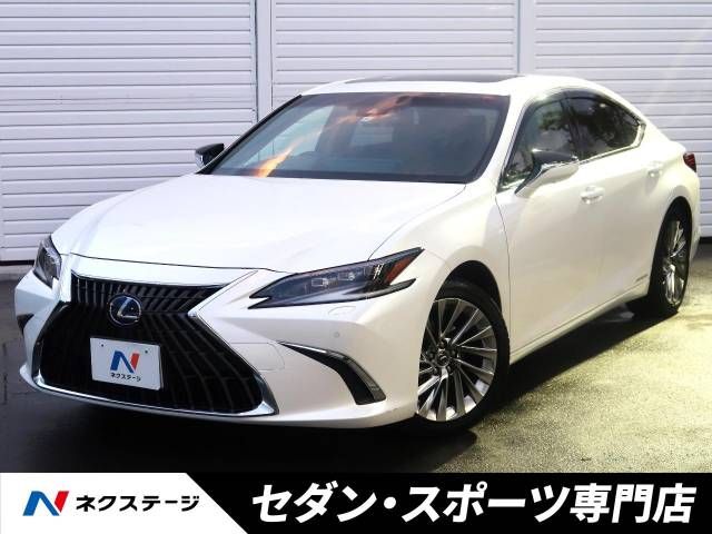 TOYOTA LEXUS ES300h 2021