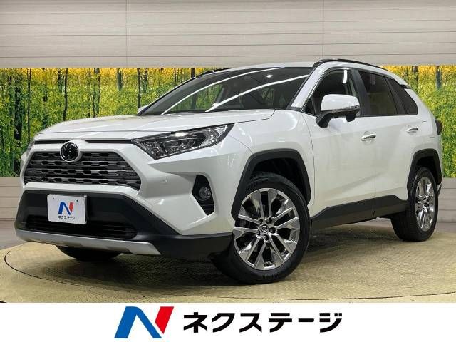 TOYOTA RAV4 4WD 2019