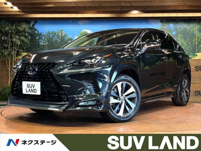 TOYOTA LEXUS NX300h 2019