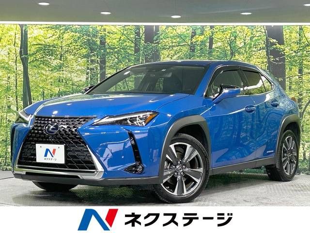 TOYOTA LEXUS UX250h AWD 2021