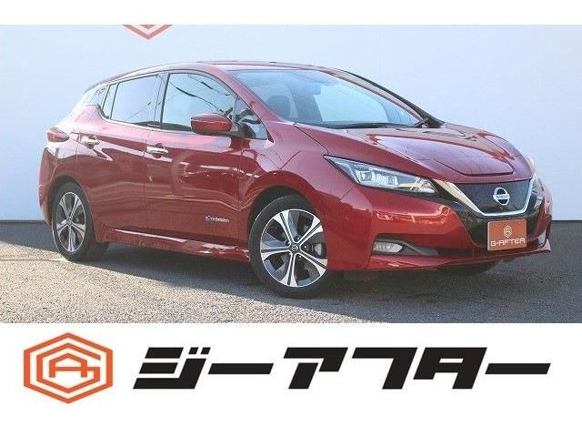 NISSAN LEAF 2020