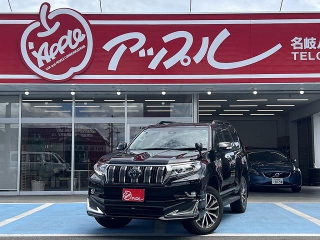 TOYOTA LANDCRUISER PRADO 2019