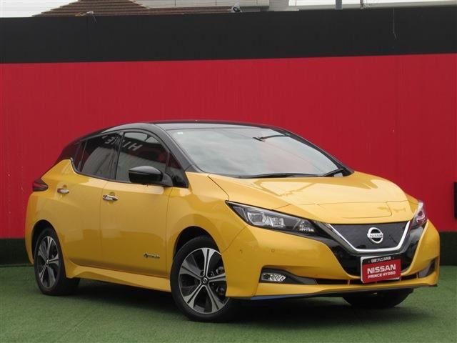 NISSAN LEAF 2019