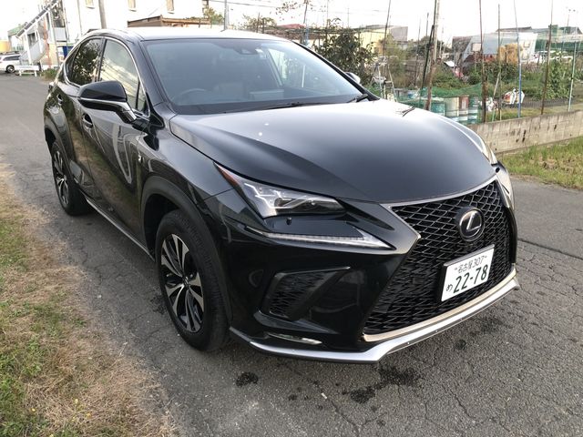 TOYOTA LEXUS NX300h 2019